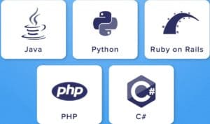 Principales lenguajes de programación del backend